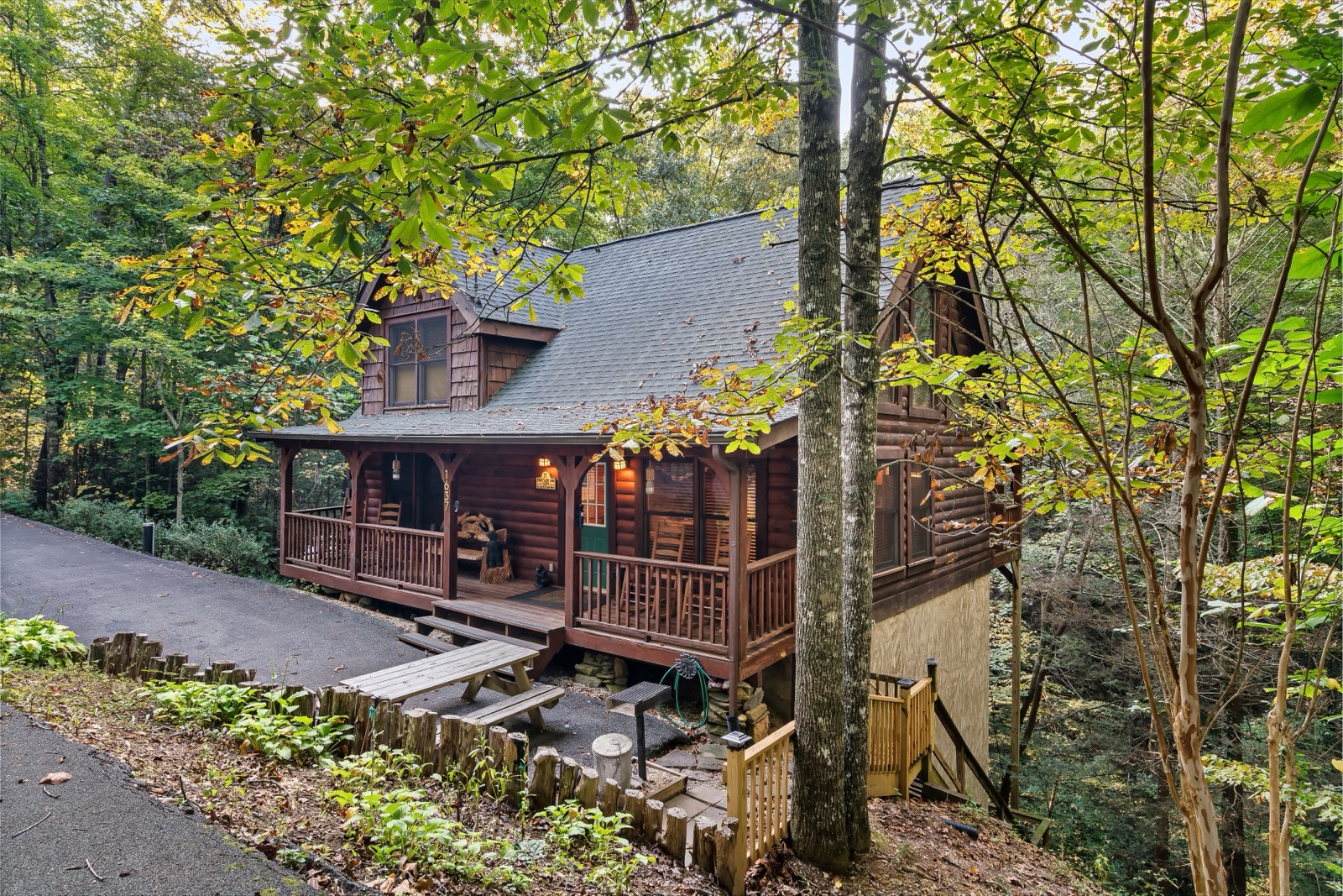 Cabin side view surrounded by trees