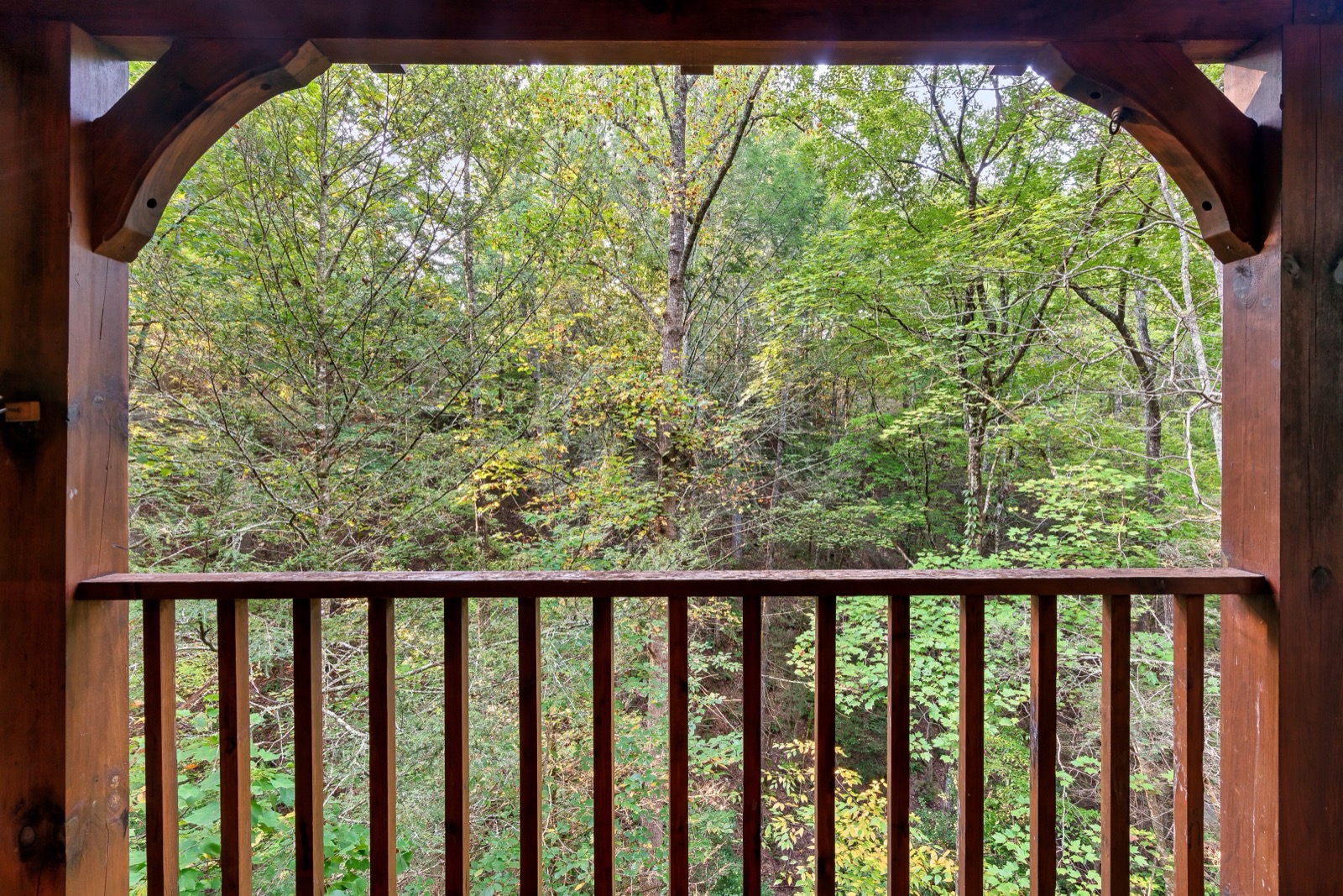 Peaceful forest view from deck