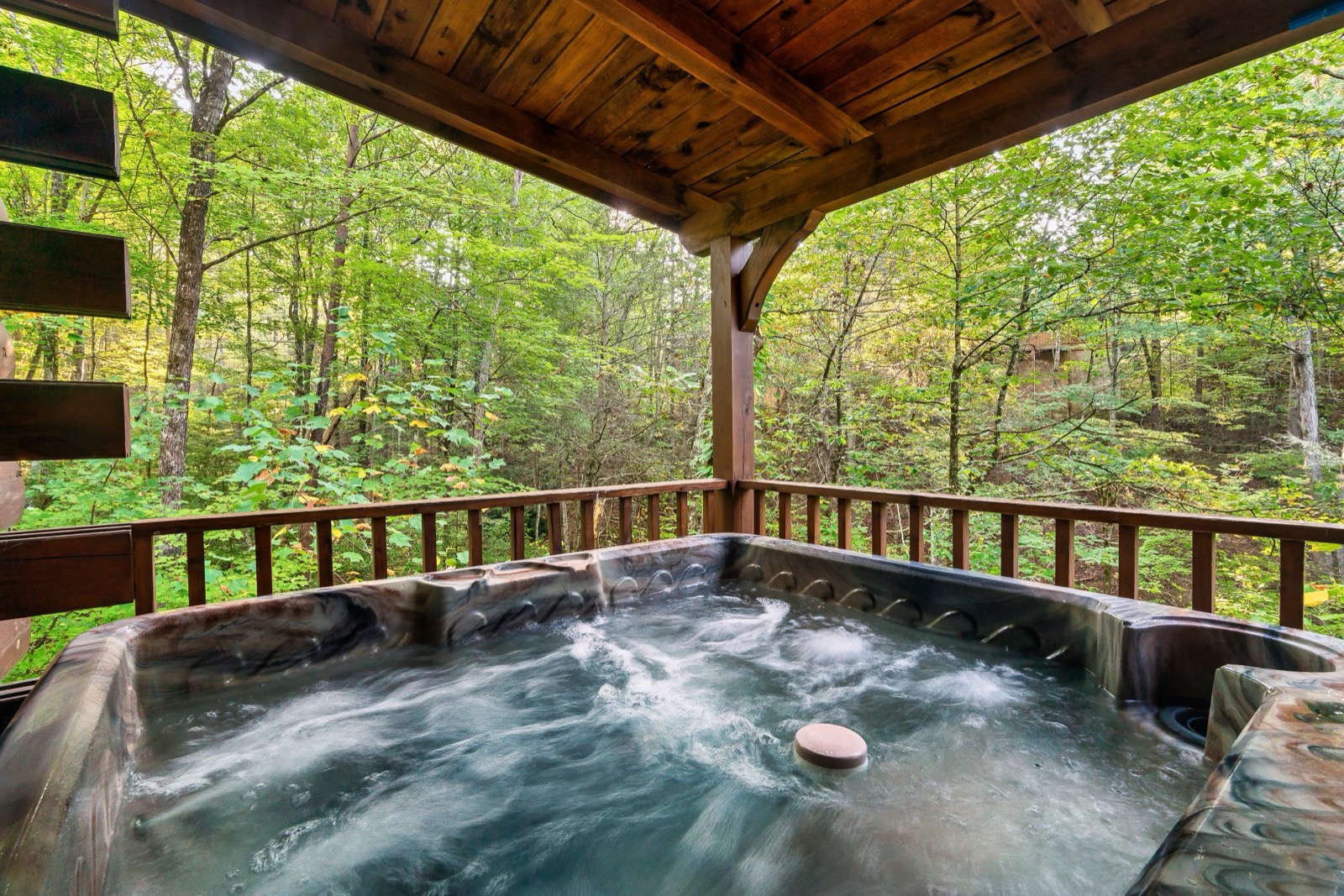 Hot tub with forest view
